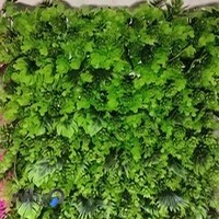 پخش چمن مصنوعی نوین