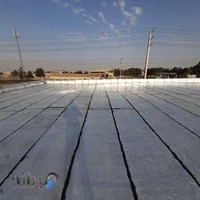 پیمانکاری البرز با مدیرت طلبی