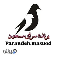 پرنده سرای مسعود