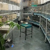 پرنده سرای دایی رسول