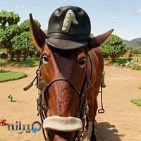 باشگاه سوارکاری هورسانا