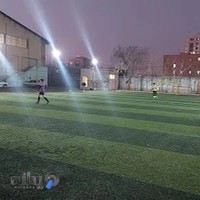 چمن مصنوعی کوچک