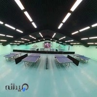 باشگاه پینگ پنگ (سبز)ولنجک