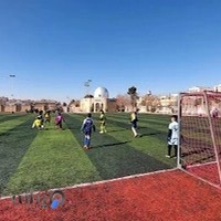 چمن مصنوعی بزرگ