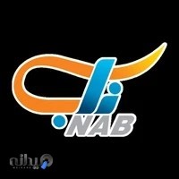 روغنگیری ناب