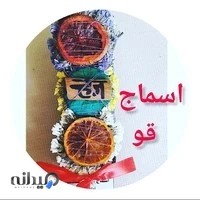 گالری قو