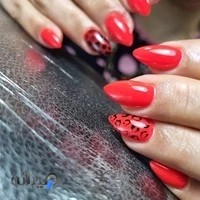 سالن زیبایی نگین حنیفه