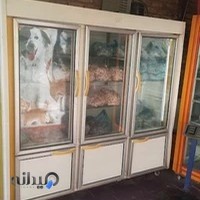 پخش غذای سگ و گربه گلشنی