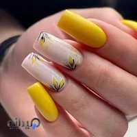 ناخن کار ناهید اذانی ( کاشت،ترمیم،پدیکور و مانیکور) آیت الله کاشانی