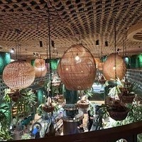 رستوران آمازونیکا