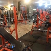 331 gym