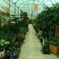 گلخانه گل آذین