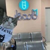 بیمارستان دامپزشکی ماندگار