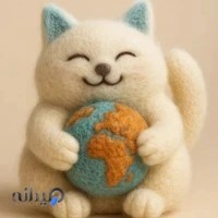 پانسیون گربه سایمون کت