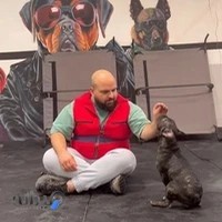 پانسیون و اکادمی تربیت سگ دنی پت