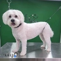 پانسیون حیوانات خانه دوم