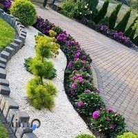 محوطه سازی تک باغ