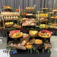 فینگر فود آنیل