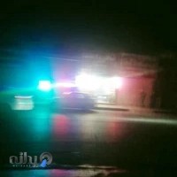 طباخی بره سفید(عموعلی)