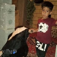 طباخی عمو جعفر