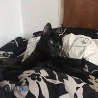 کلینیک دامپزشکی دکتر هوشیار اباذری