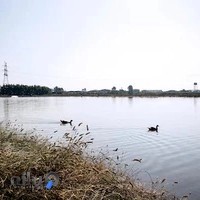 تفرجگاه ماهیگیری طلائیه