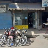 مظاهرمحمدی