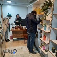 محصولات ارگانیک پاپلی