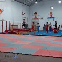 باشگاه ژیمناستیک هادی شهر