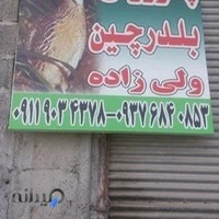 بلدرچین ولی زاده