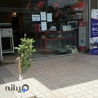 فن آوران ناجی