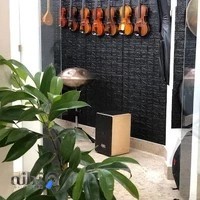 موسیقی شیسا