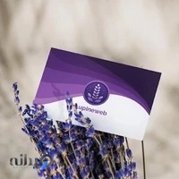 شرکت دیجیتال مارکتینگ و طراحی سایت لوپین