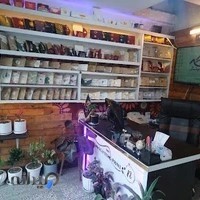 چاپ دیجیتال نقطه