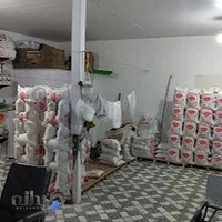 برنج حاج علی