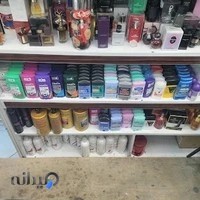 ویکتوریا لیدی