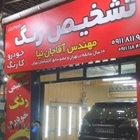 تشخیص رنگ کارنگ مهندس آقاجان نیا