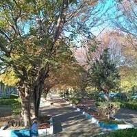 دانشکده پزشکی