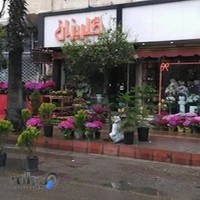 Momeniبابل گلفروشی گلریزان دکتر مومنی