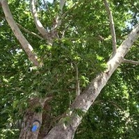 دادگستری و دادسرای عمومی و انقلاب شهرستان بابلسر