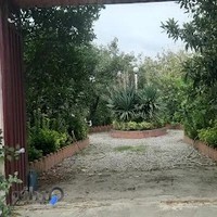 تالار خاتون