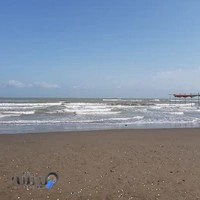 سرویس بهداشتی