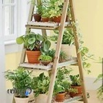 گلکده اهورا | Ahoura Flowers