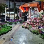 گلباران بابل