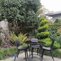 Koucheh Cafe Gallery