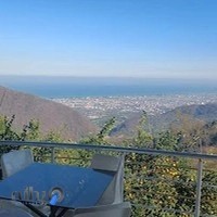 سایت پیک نیک365