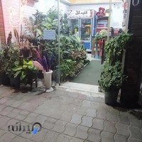 گلفروشی کلبه گل