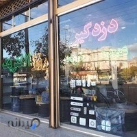 روژ الکتریک