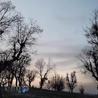 مطب ارتوپدی دکتر صالحی