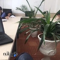 موسسه زبان انگلیسی زبان پژوه